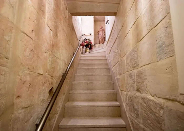 Collection - Zekka דירה ואלטה